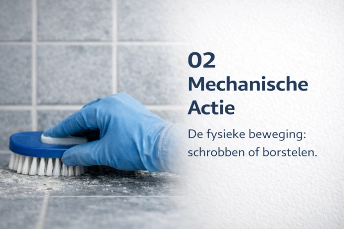 Stoomreinigen met 10 bar druk